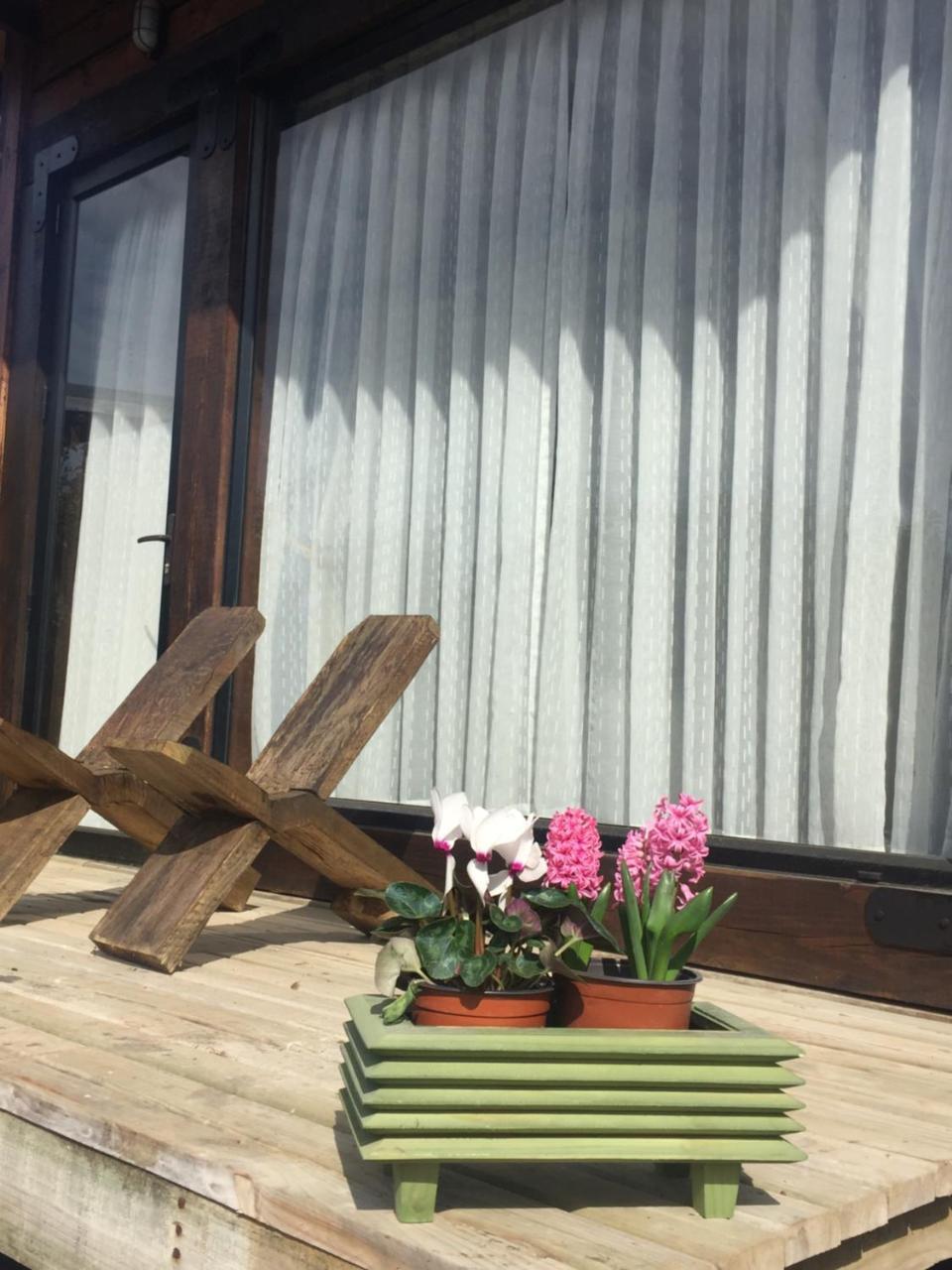 Palo Santo Bed and Breakfast Pichilemu Exteriör bild